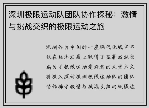 深圳极限运动队团队协作探秘：激情与挑战交织的极限运动之旅