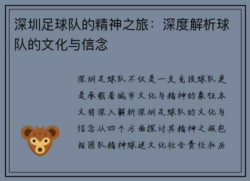 深圳足球队的精神之旅：深度解析球队的文化与信念